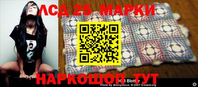 индика Кингисепп