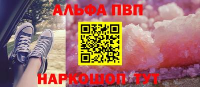 индика Кингисепп
