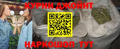 индика Кингисепп