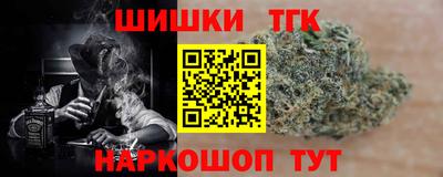 индика Кингисепп