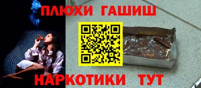 индика Кингисепп