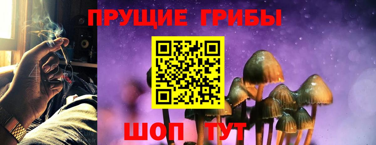 Псилоцибиновые грибы мицелий Королёв