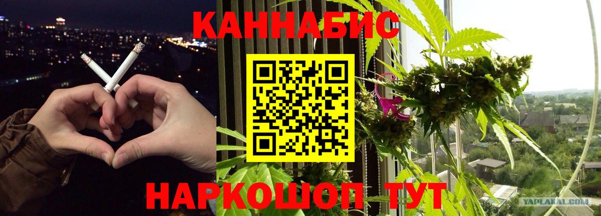 Бошки Шишки план Королёв